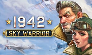 fb88 1942 Sky Warrior